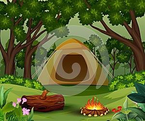 Tents with bonfire on forest background