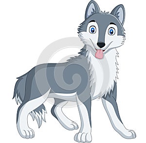 Cute wolf cartoon on white background