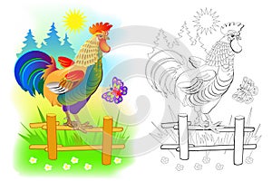 Illustration of cute rooster at sunrise. Colorful and black and white page for coloring book for kids. Domestic farm animal cock.