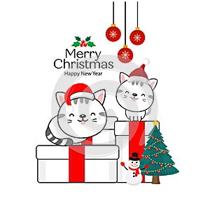 Merry Christmas Greeting Card. Cute cats  sitting on a gift box.