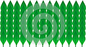 Beautifully arranged leaf vector background