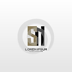 Initial letter SN minimalist art logo vector