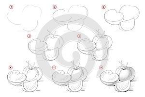 How to draw step-wise still life with tomatoes. Creation step by step pencil drawing. Educational page for artists. photo