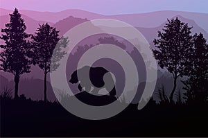 The bear in the forest Natural jungle green mountains horizon trees Landscape wallpaper Sunrise and sunset  Illustration vector photo