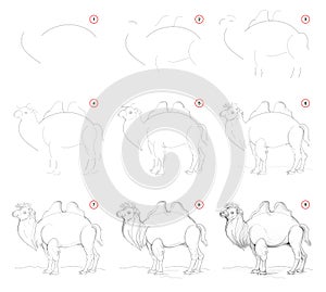 How to draw from nature step by step sketch of cute camel. Creation step-wise pencil drawing. Educational page for artists. photo