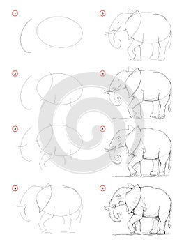 How to draw from nature step by step sketch of African elephant. Creation pencil drawing. Educational page for artists. photo