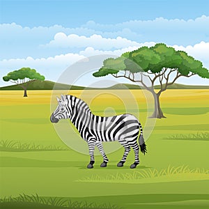 Cartoon zebra standing in the Savannah