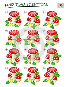Logic puzzle game for children and adults. Need to find two identical mushrooms. Printable page for kids brain teaser book. photo