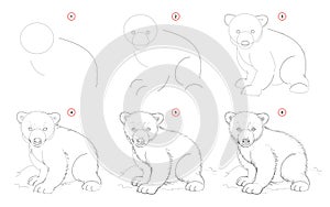 How to draw from nature sketch of white teddy bear. Creation step by step pencil drawing. Educational page for artists. photo