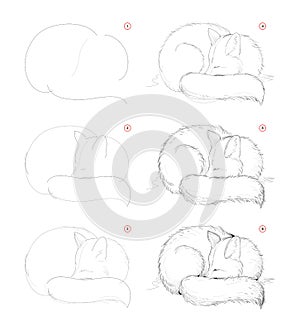 How to draw from nature sketch of cute sleeping fox. Creation step by step pencil drawing. Educational page for artists.