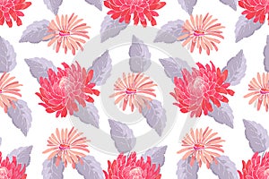Art floral vector seamless pattern. Red and pink asters and chrysanthemums with grey leaves