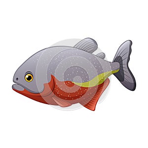 Cartoon piranha fish isolated on white background