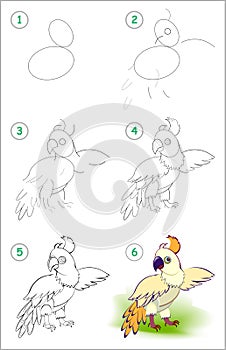 How to draw step by step cute little parrot. Educational page for kids. Back to school.