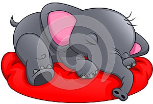 Cute elephant slepping on a white background