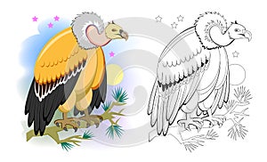 Colorful and black and white page for coloring book for kids. Illustration of a cute vulture. Predatory bird. photo