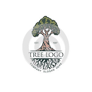 Vintage tree vector illustration logo design template