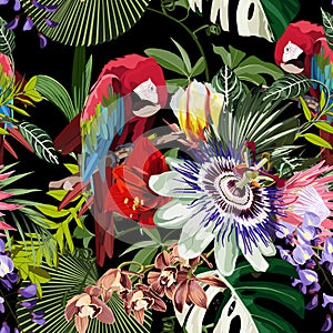 Tropical birds parrot, exotic jungle plants, leaves, flowers abstract seamless black background.