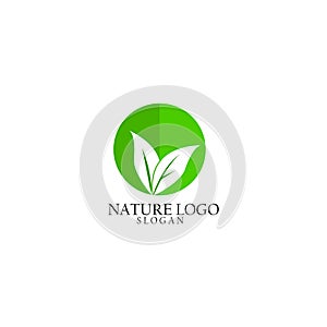 Nauture logo design template.tree logo template