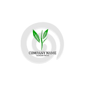 Nauture logo design template.tree logo template