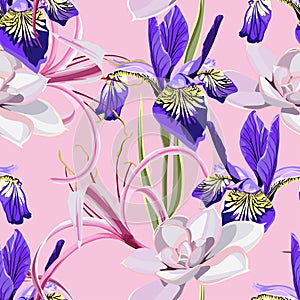 Seamless summer pattern. Wild flowers iris, succulent and lilies. Floral decoration for printing on wallpaper, paper, textiles.