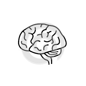 Brain line icon image vector on white background