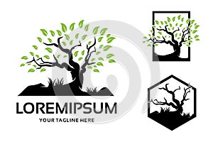 Tree logo set