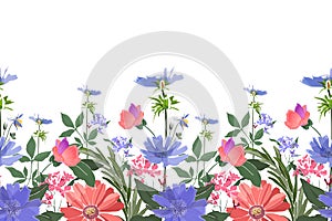 Vector floral seamless border. Summer flowers, green leaves.