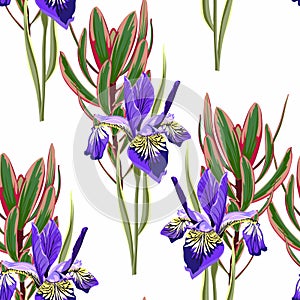 Seamless botanical watercolor style pattern with iris flowers, leaves and pink exotic branch.  White background.