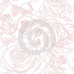 Seamless pattern with pink realistic linear Roses on white background. Hand drawn floral repeat ornament of blossoms in sketch sty