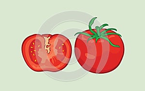 Fresh red tomato slice vector design