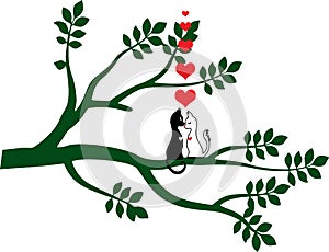 Cats love in the tree. Vector
