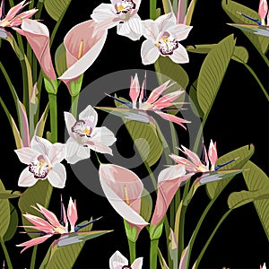 Illustration with pink exotic flowers. Beautiful seamless background with tropical flowers on black. Composition