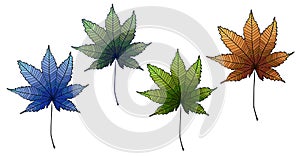 Set of maple leaves with simple striped decor on white horizontal background. Isolated.