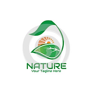 Illustration vector graphic of the sun rises behind green leaves