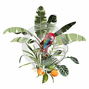 Tropical palm bananas tree and exotic leaves and red parrot composition over white background.