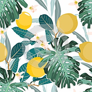 Seamless citrus vintage pattern with palm leves on white background. photo