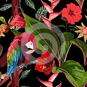 Tropical birds parrot, exotic jungle plants, leaves, red flowers abstract seamless black background.