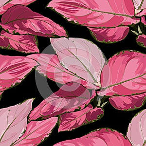 Tropical vintage red Aglaonema modestum Schott palant with leaves floral seamless pattern on black background.