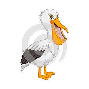 Cartoon funny pelican on white background