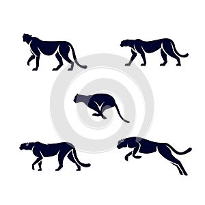 Set vektor illustrasi silhouette leopard logo icon. photo