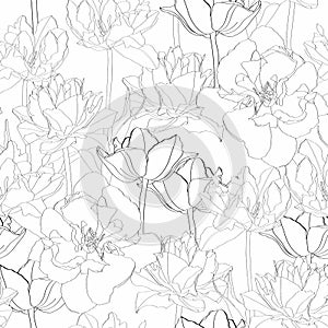 Seamless vintage pattern with  tulips line silhouette on white background.