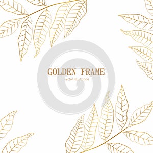 Golden leaves Background Illustration. Tropical line leaves frame. Summer tropical leaf. Exotic hawaiian jungle.