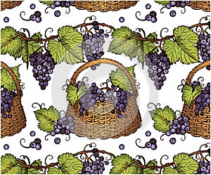 Sketch drawing pattern of blue bunch of grapes with green leaves in basket isolated on white background.