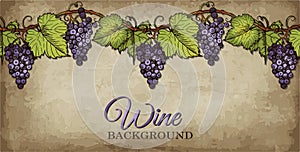 Sketch hand drawn Wine poster with blue grapes and green leaves on branch isolated on vintage background.