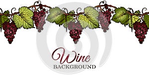 Sketch hand drawn Wine poster with red grapes and green leaves on branch isolated on white background.
