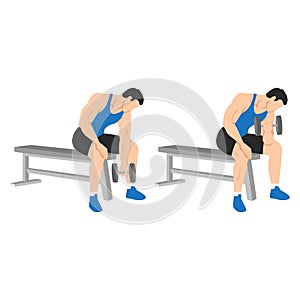 Man doing Dumbbell concentration curl. Flat vector illustration photo