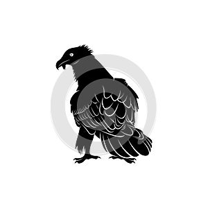 Bearded vulture bird silhouette vector illustration abstract