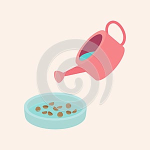 Watering coriander seed Flat Vector