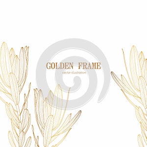 Golden Leucadendron tropical branch with leaves Background Illustration. Tropical line frame.