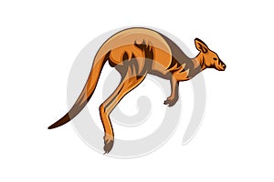 Brown cute kangaroo vector illustration